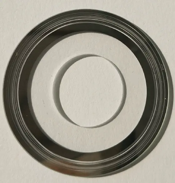 Incremental encoder disc with fine radial graduations